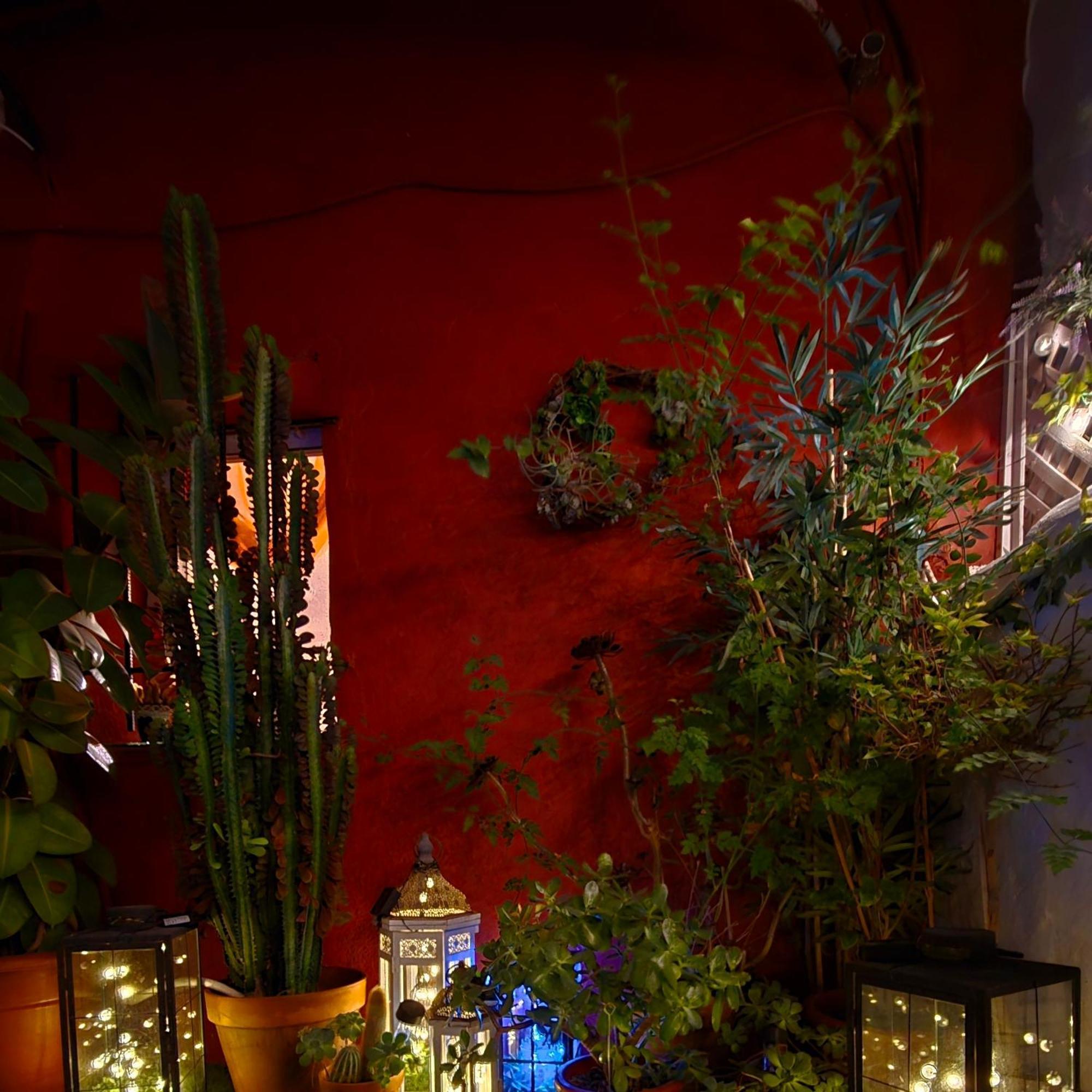 Holiday House - Casa De Monica Cullera Εξωτερικό φωτογραφία